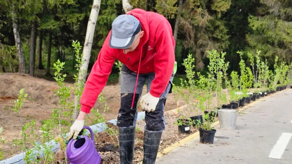 Фото: МБУК «Городской парк культуры и отдыха»
