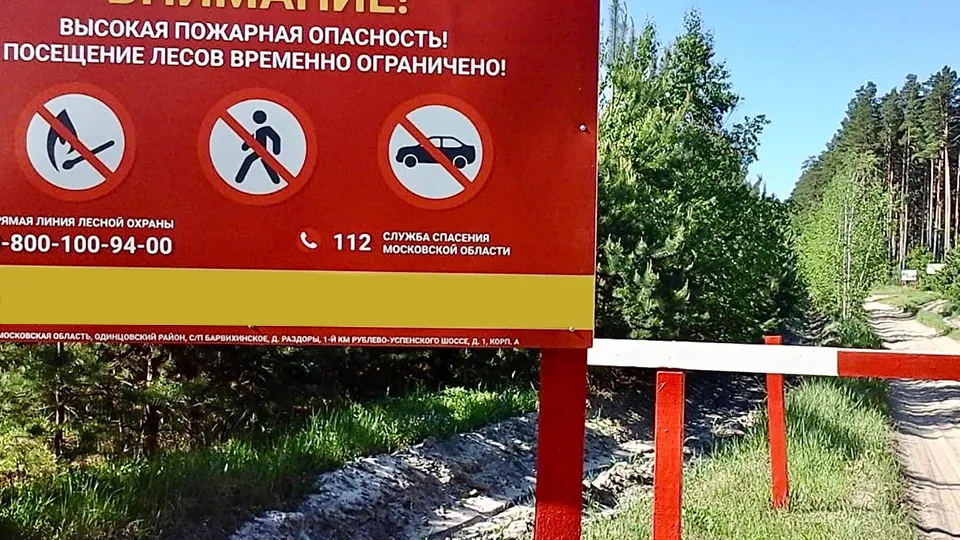 Фото: Ступинское лесничество