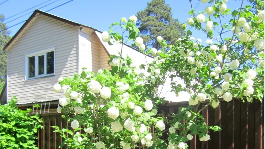 Фото: Олег Книжник
