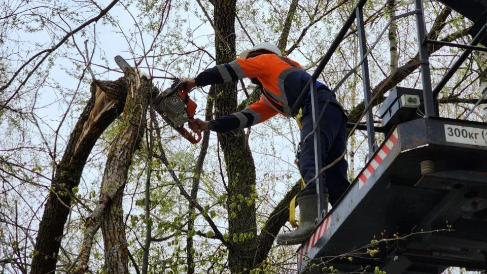 Фото: Екатерина Данилина