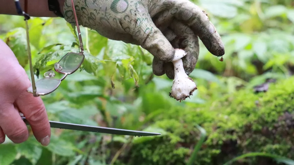 Фото: МедиаБанк Подмосковья/Андрей Алекин