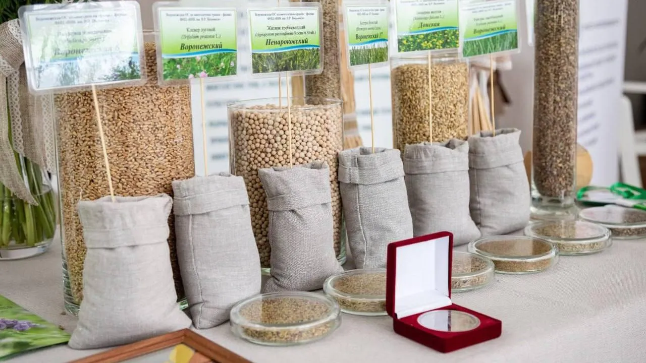 t.me/AnnaKrotova_Lobnya