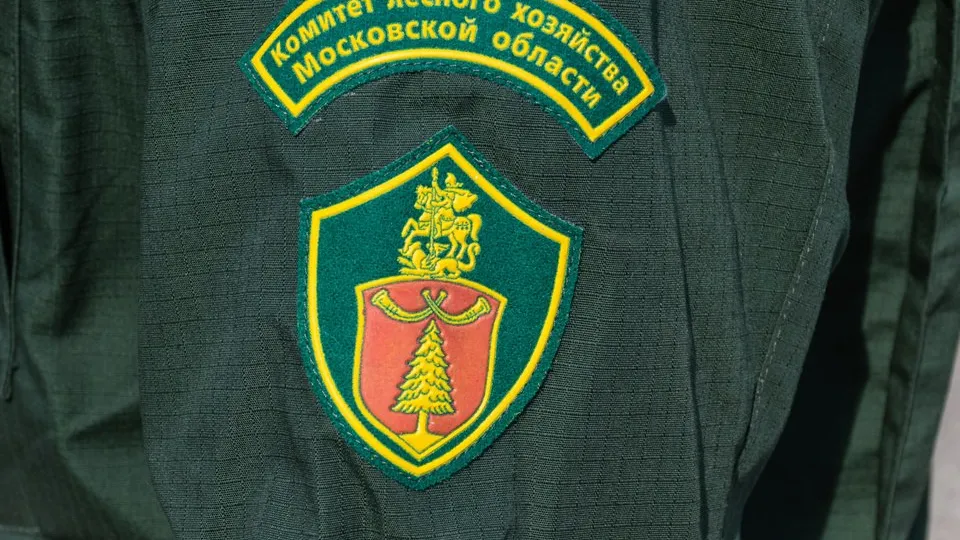 Фото: Евгений Мазепов