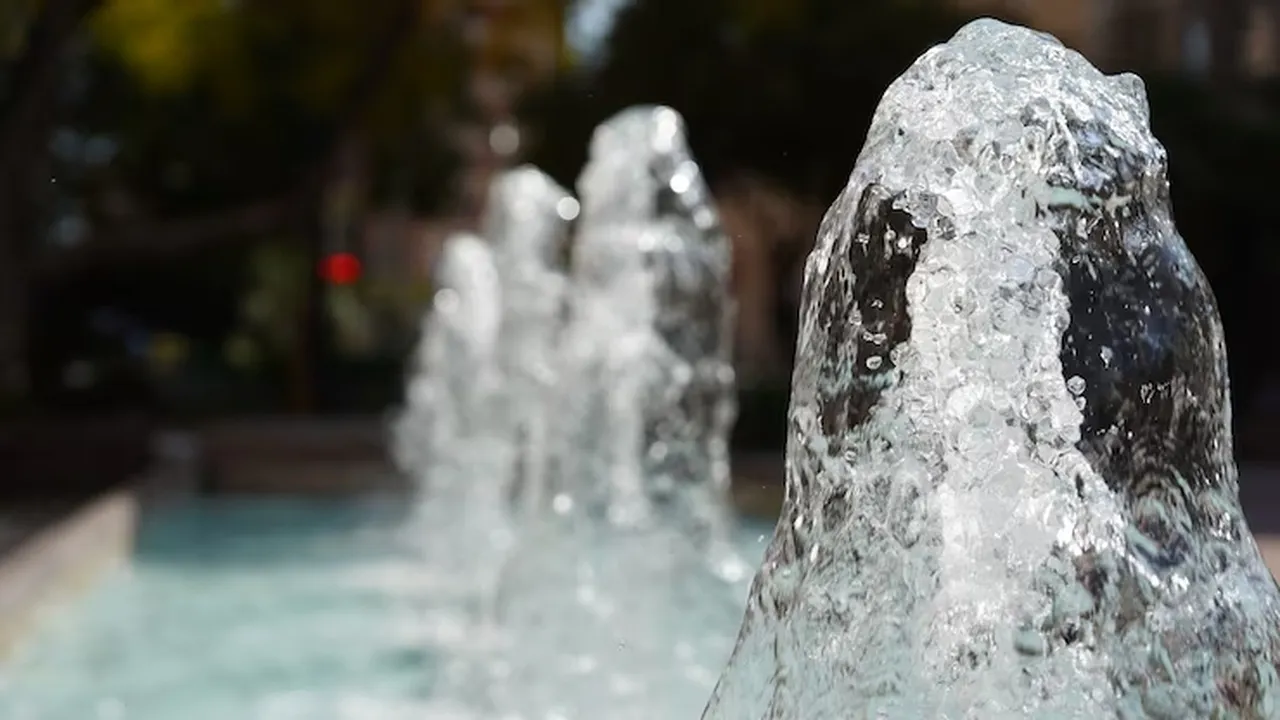 Фото: freepik.com