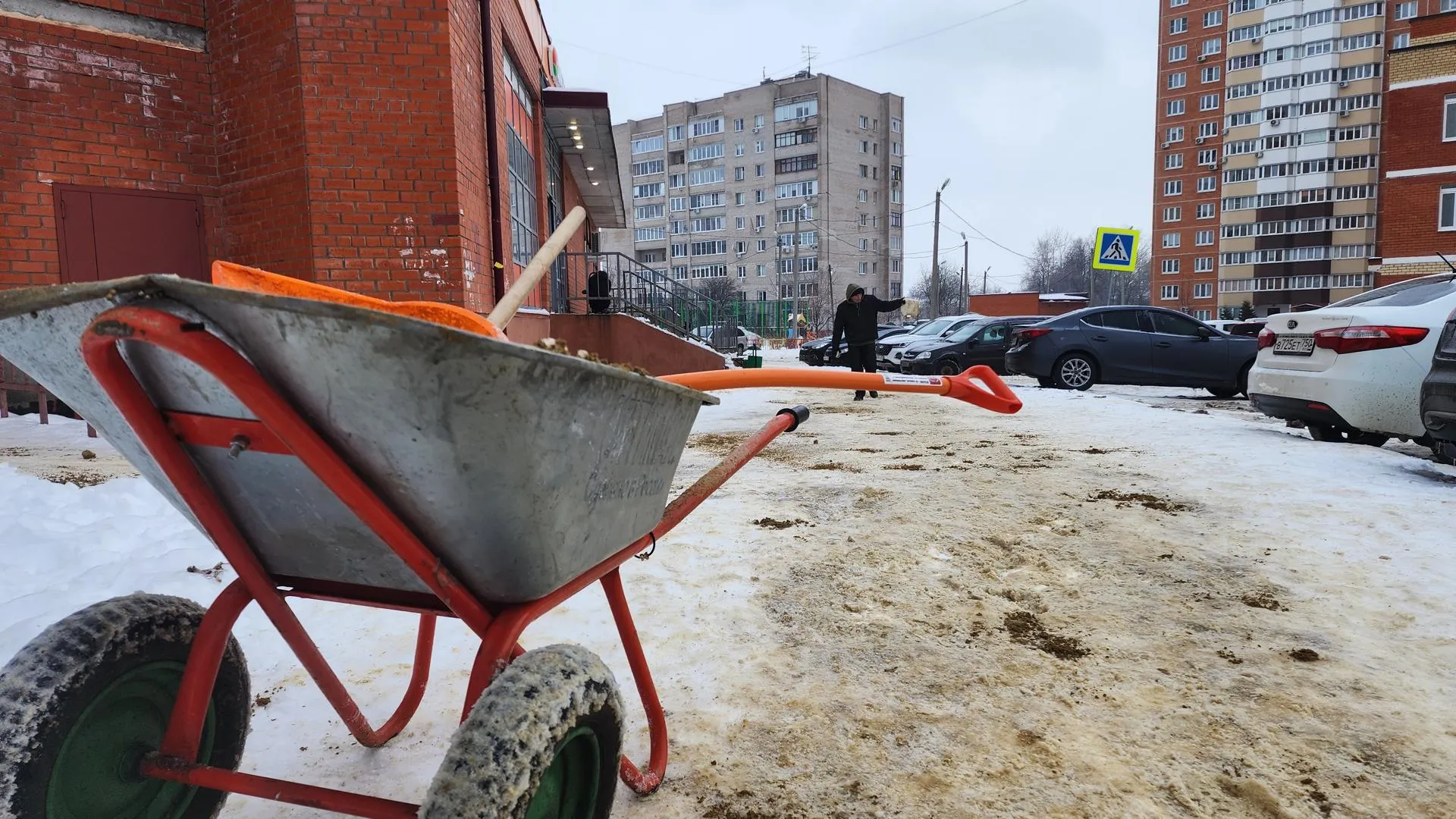 Медиа – Анастасия Сараева