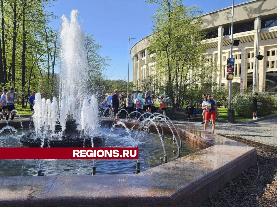 Фото: Андрей Семибратов