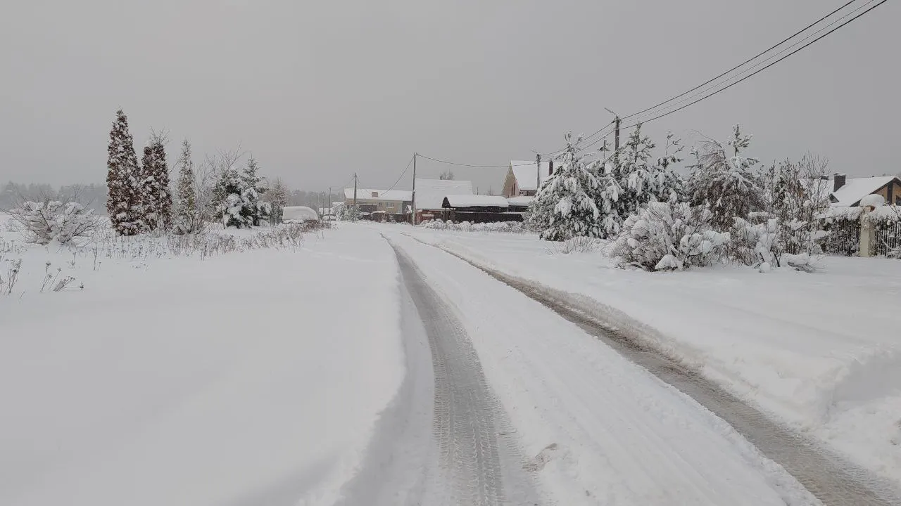 Фото: пресс-служба администрации г.о. Черноголовка