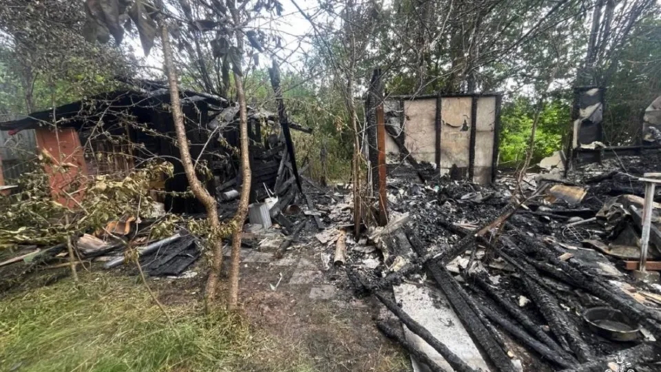 Фото: t.me/mchs_mo