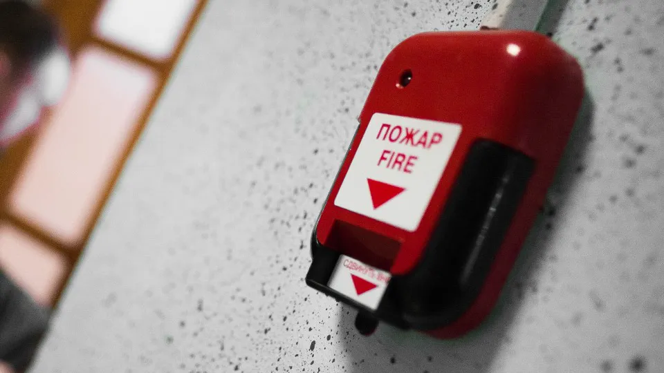 Фото: TASS/URA.RU/Анна Майорова