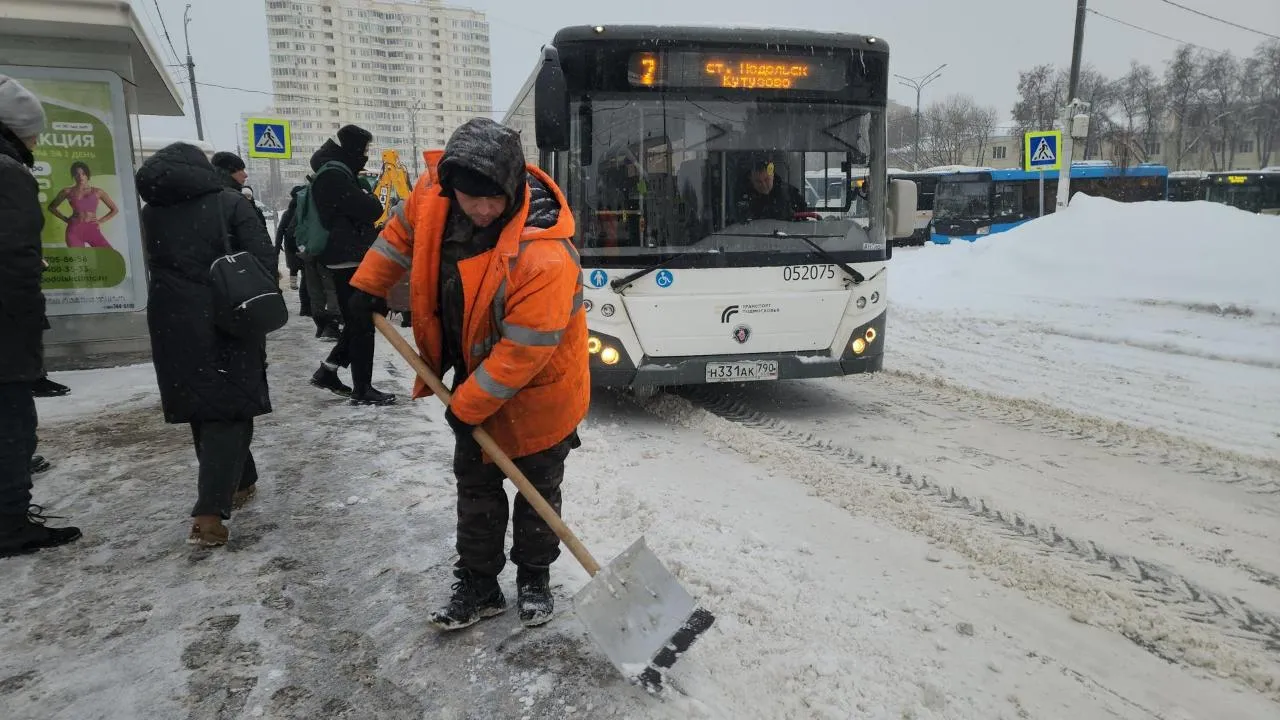 REGIONS/Мария Шигорева