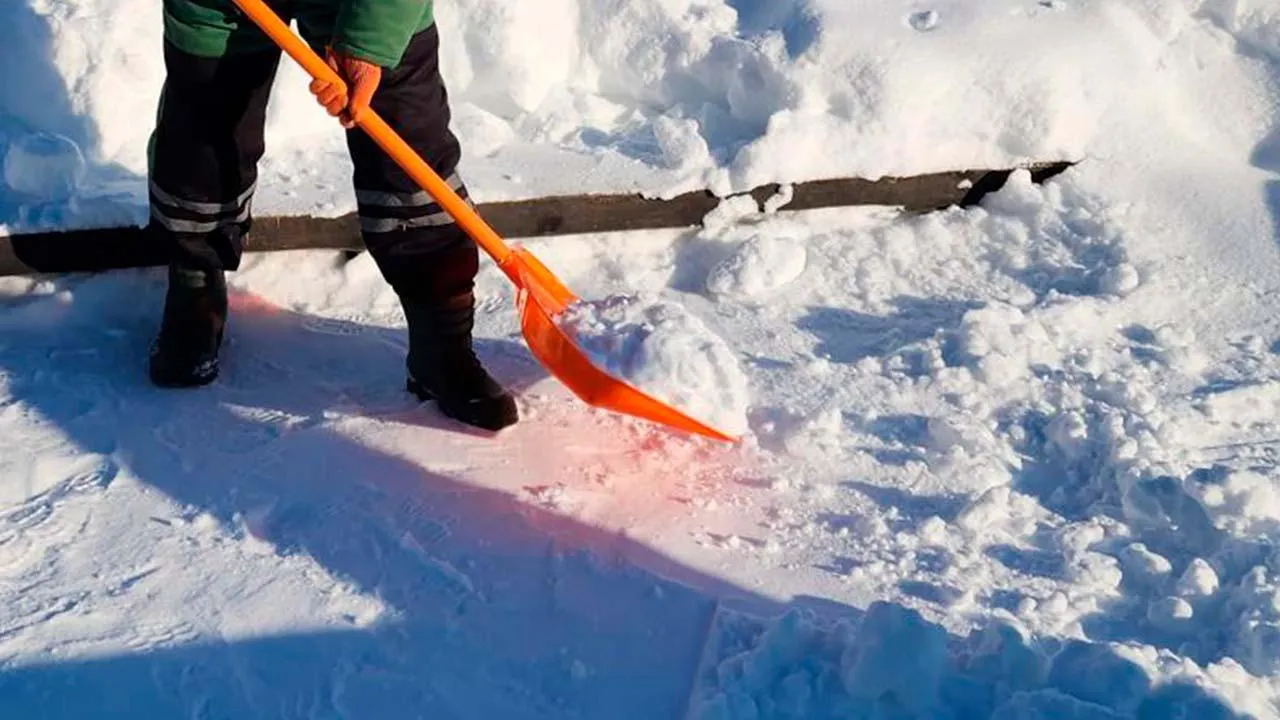 МедиаБанк Подмосковья/Юлия Унрау