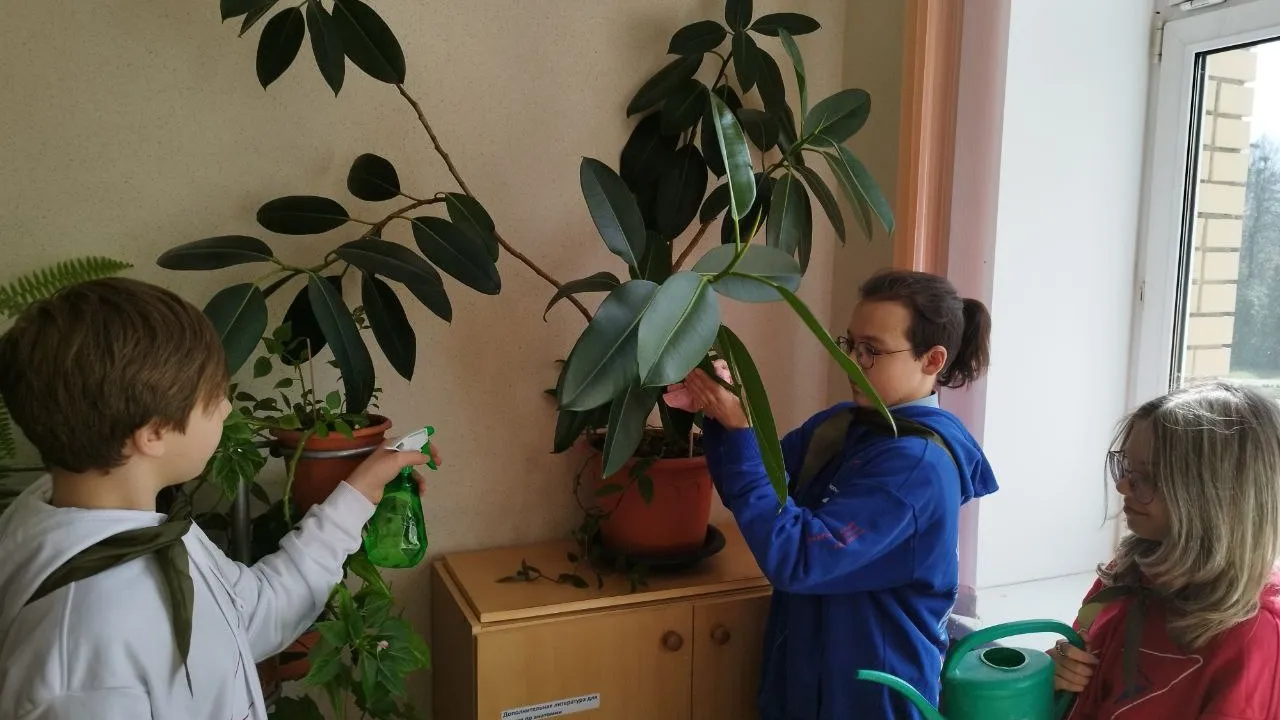 Фото: vk.com/Движение Первых | Серебряные Пруды