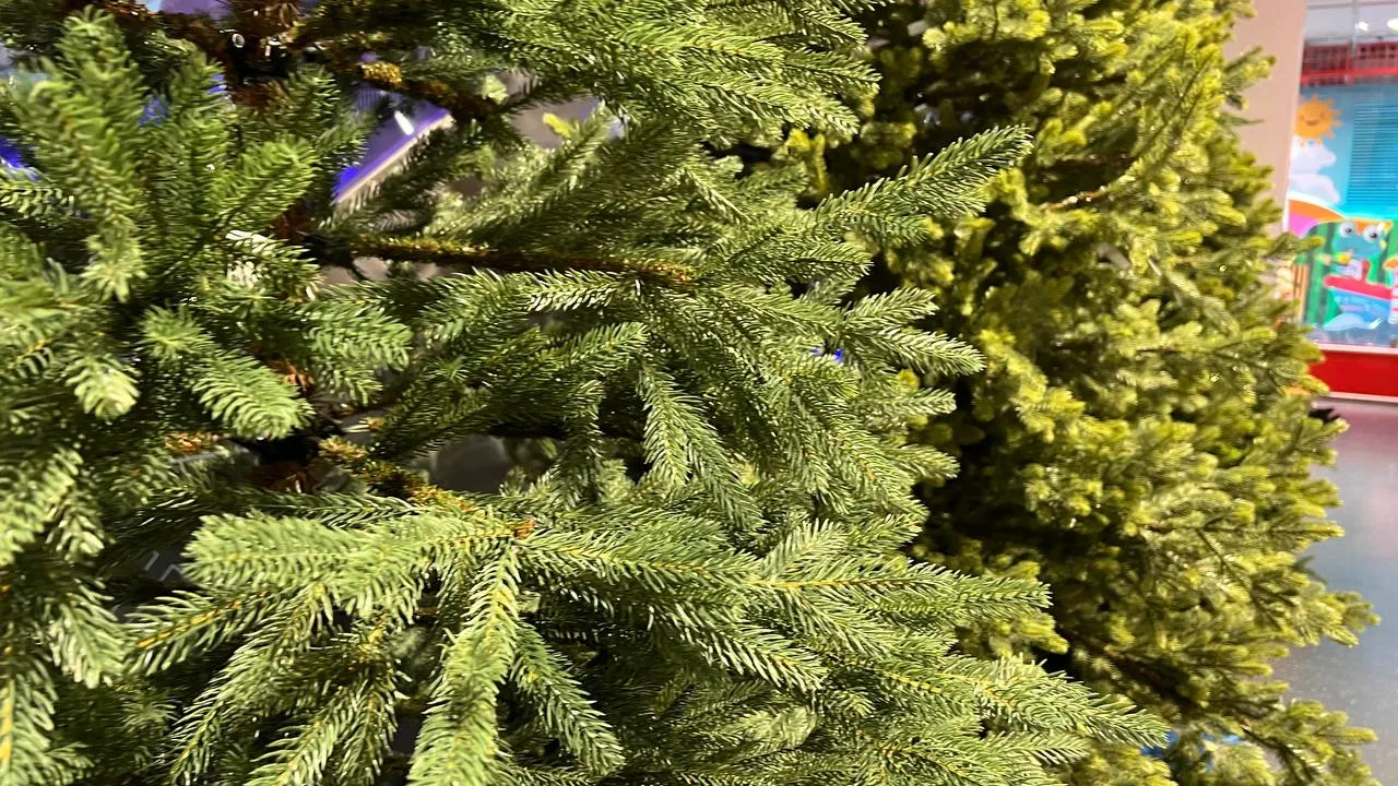 Фото: REGIONS/Елена Фурман