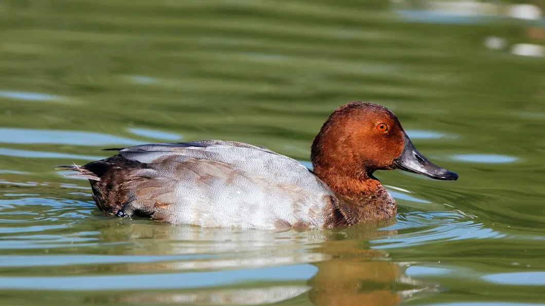 Фото: freepik.com