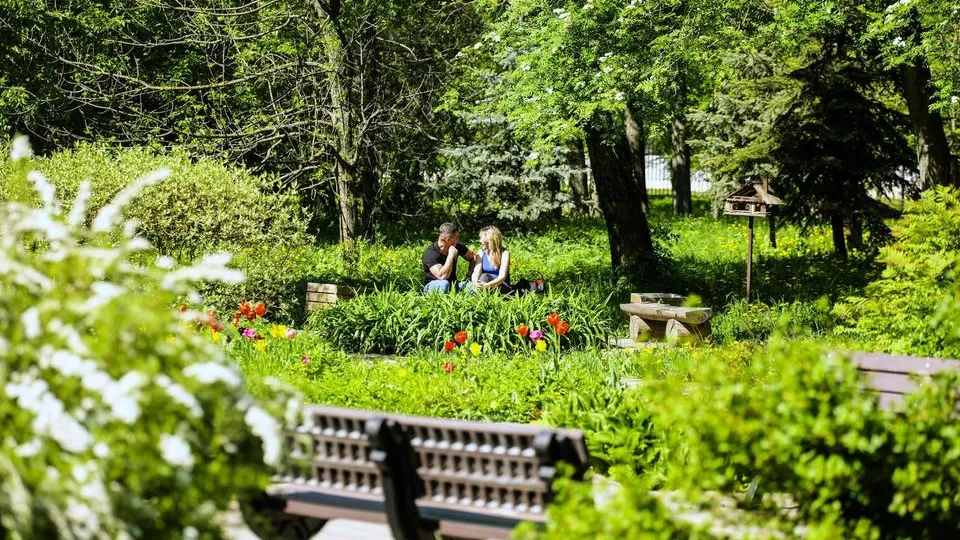 Фото: Министерство благоустройства Московской области