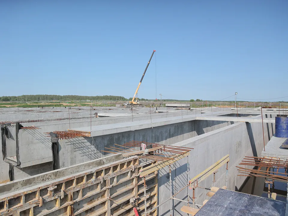 Фото: пресс-служба губернатора и правительства Московской области