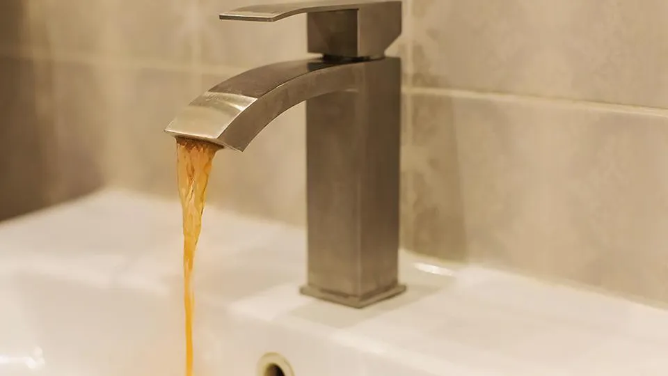 Фото: istockphoto.com