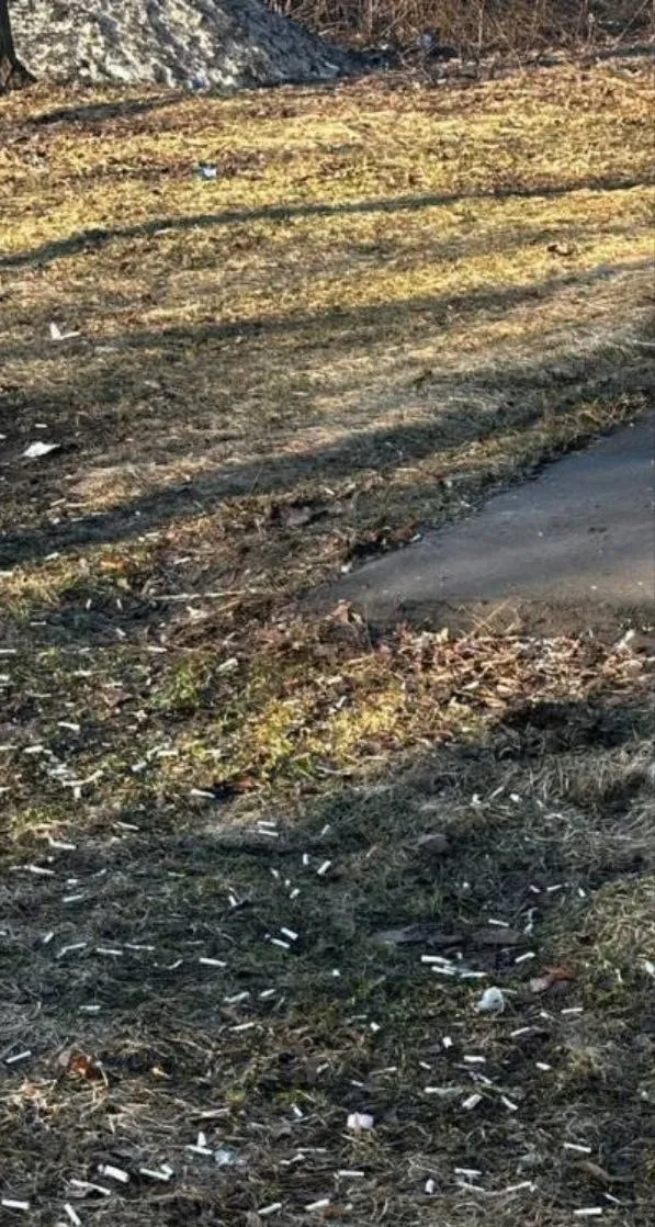 &nbsp;телеграм-канала Мои Люберцы