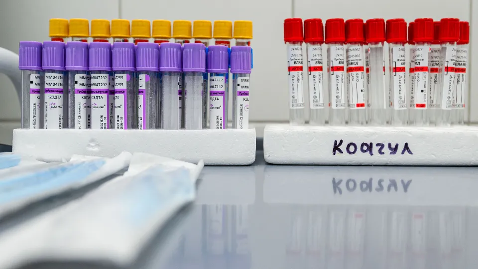 Фото: медиасток.рф