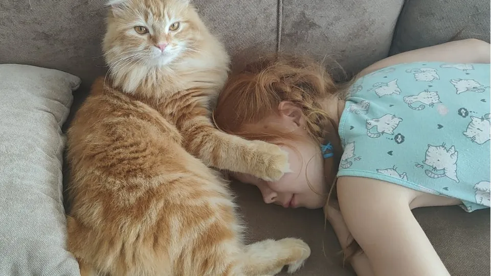 Фото: REGIONS/Наталия Надточая