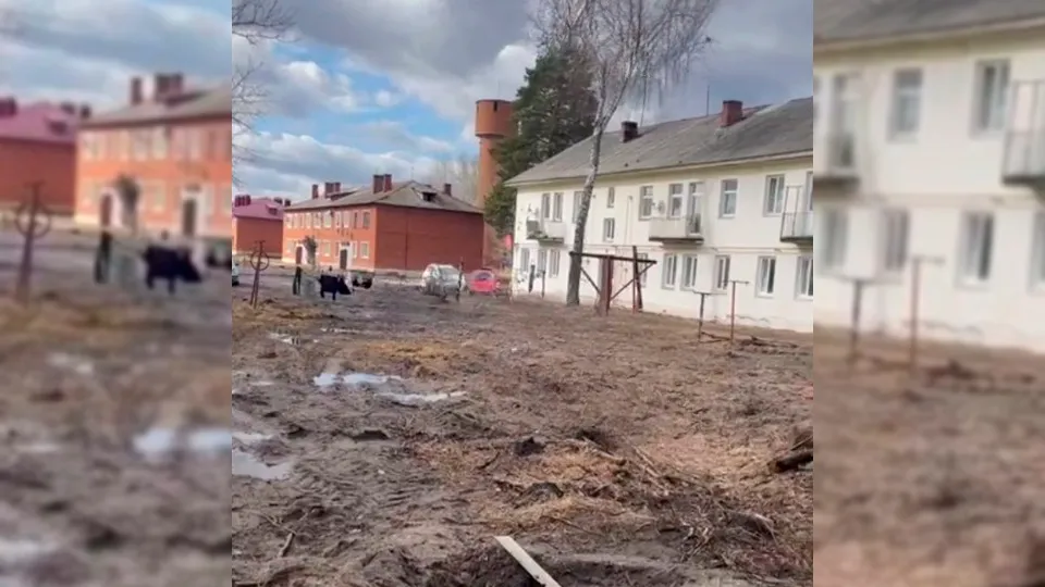 Фото: REGIONS/Василий Тремасов