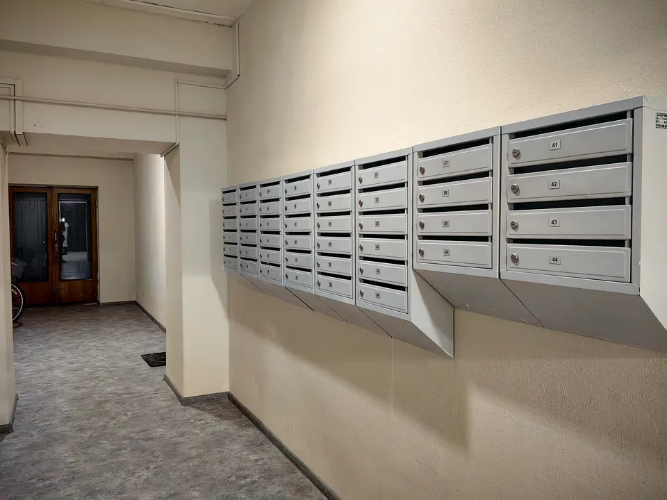 Фото: МедиаБанк Подмосковья/Елена Катасонова