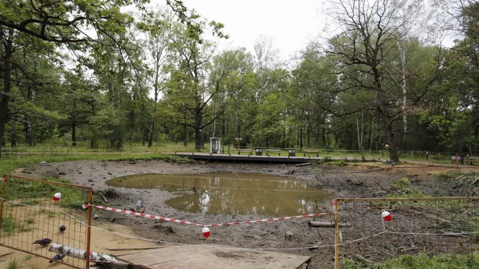 Фото: пресс-служба администрации г.о. Фрязино