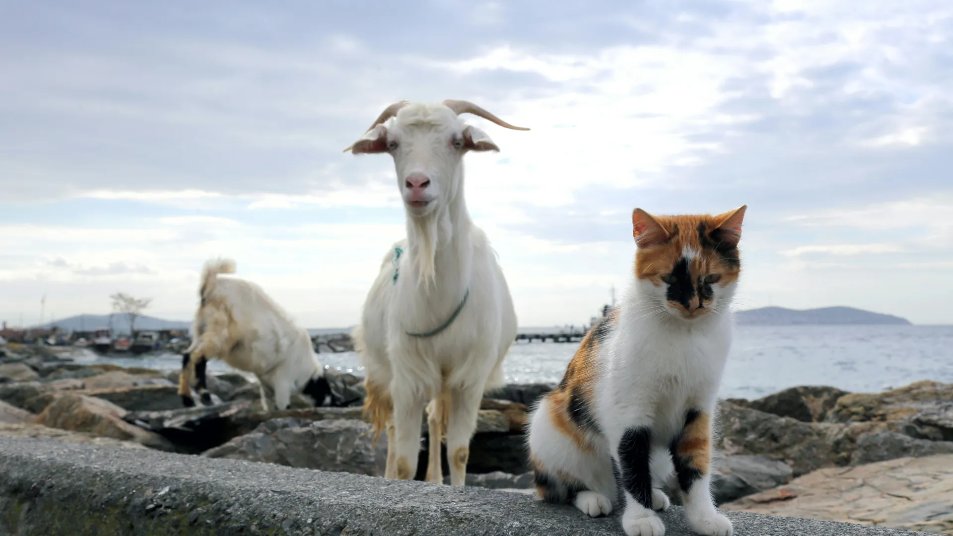 Фото: unsplash.com