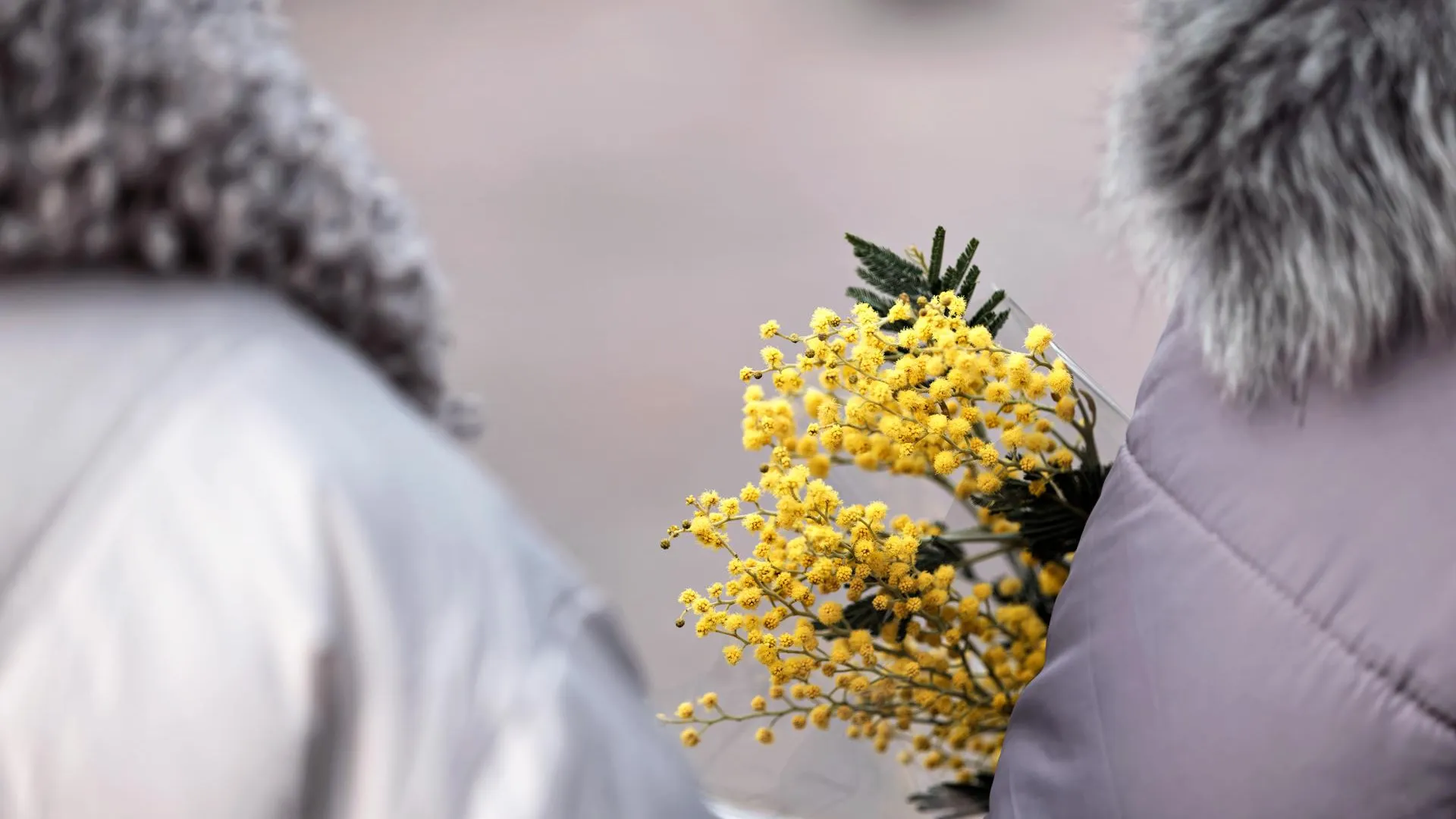 медиасток.рф