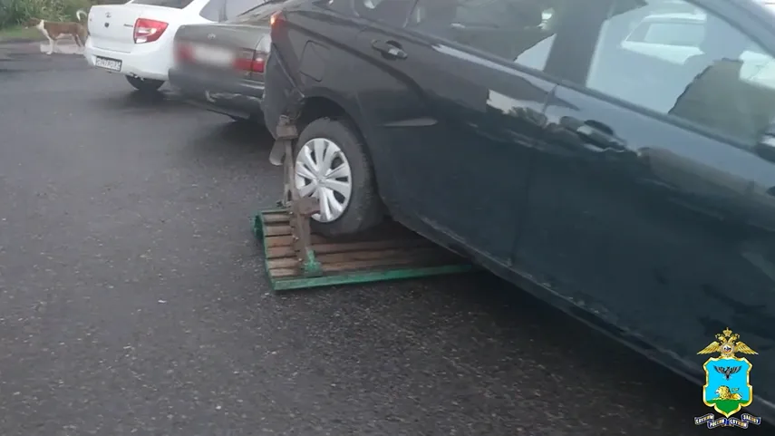 Скриншот видео