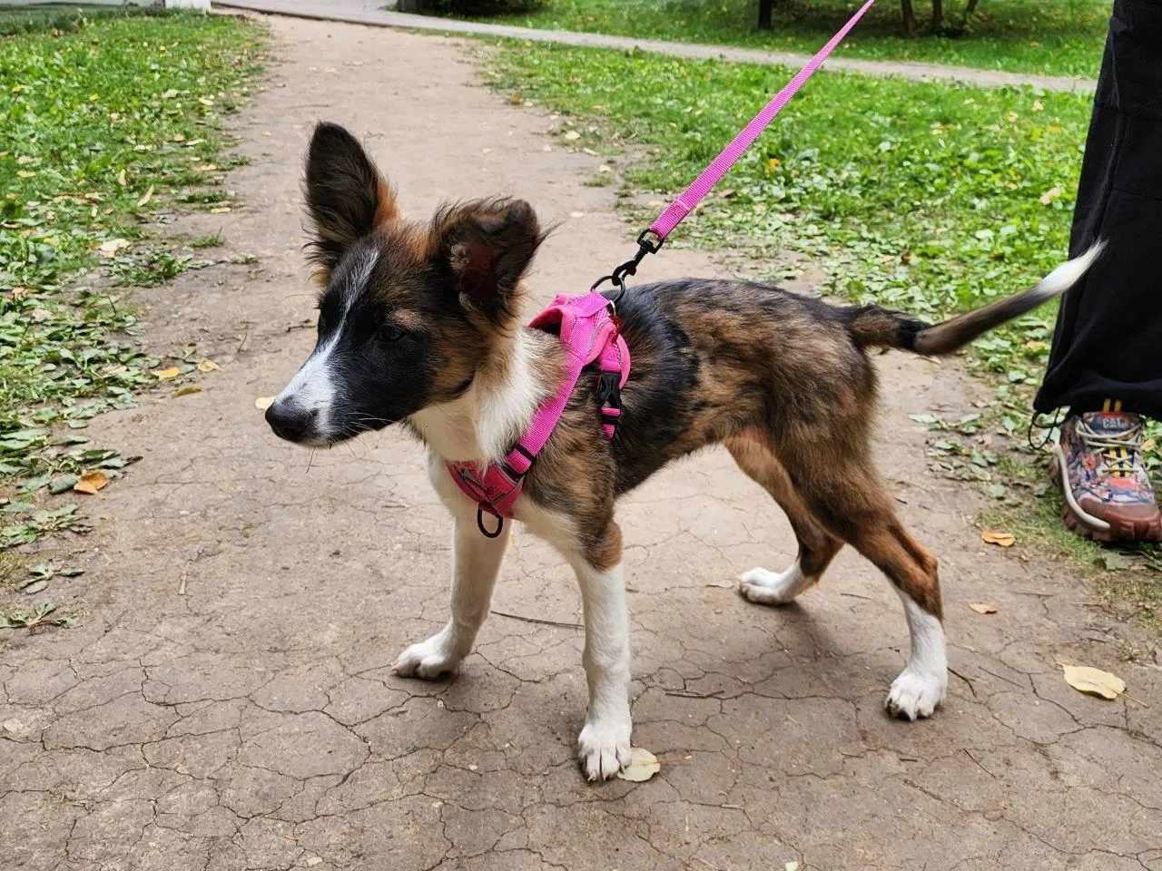 Фото: Мария Амелина