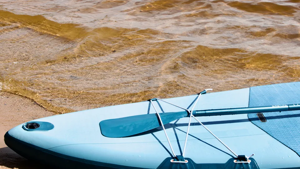 Фото: istockphoto.com