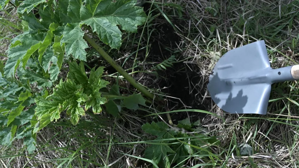 Фото: Евгений Пронин