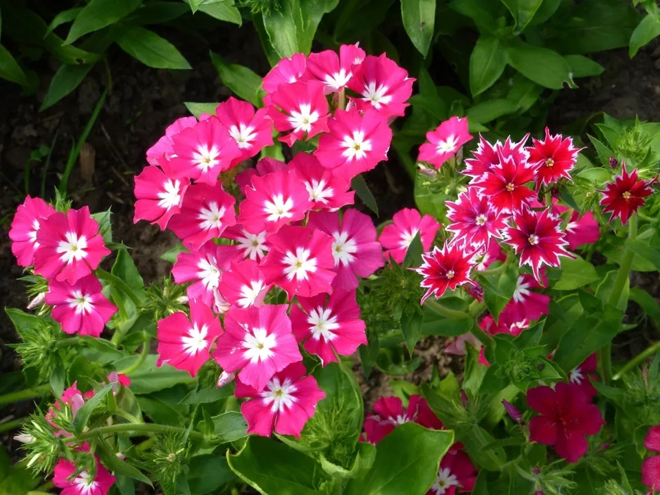 Фото: freepik.com