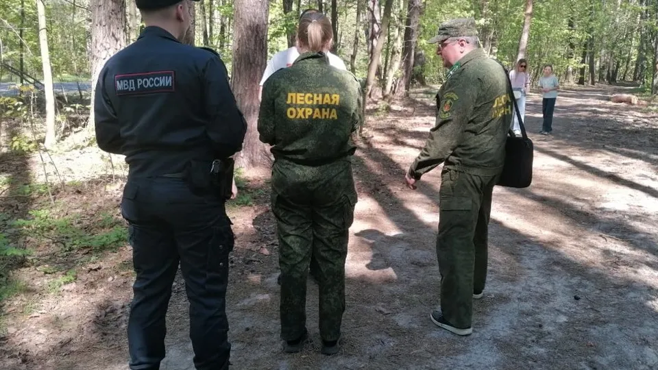 Фото: t.me/mosoblcomles