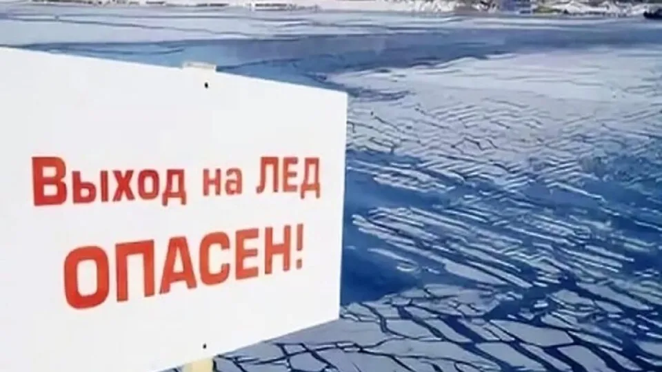 Фото: Администрация городского округа Пущино