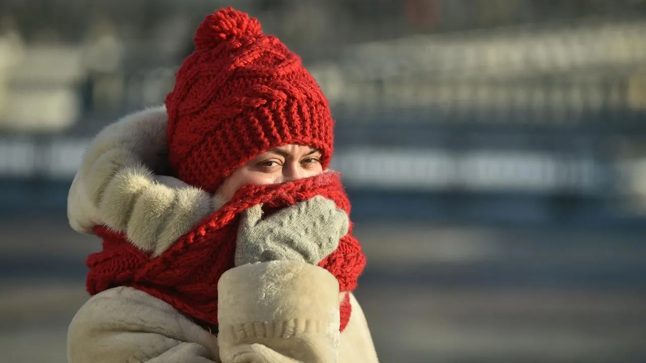 медиасток.рф