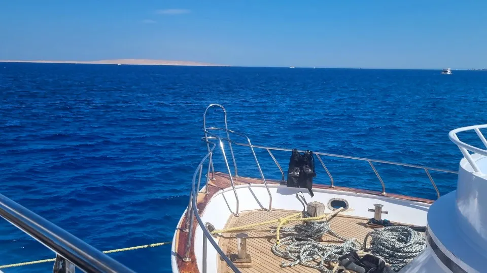 Фото: личный архив Мохаммеда Садека