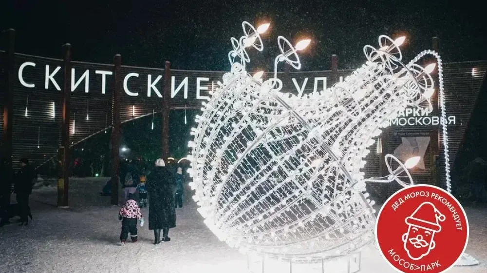 Фото: пресс-служба губернатора Московской области