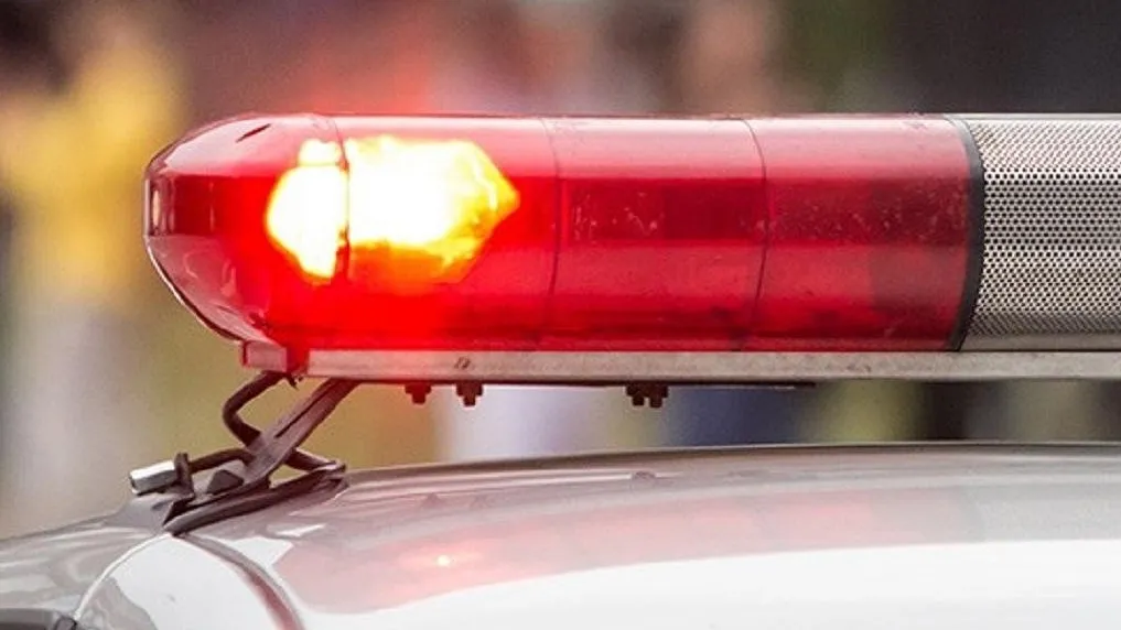 REGIONS/Владимир Ерастов