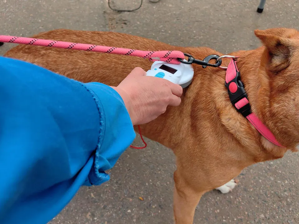 Фото: REGIONS/Елена Катасонова