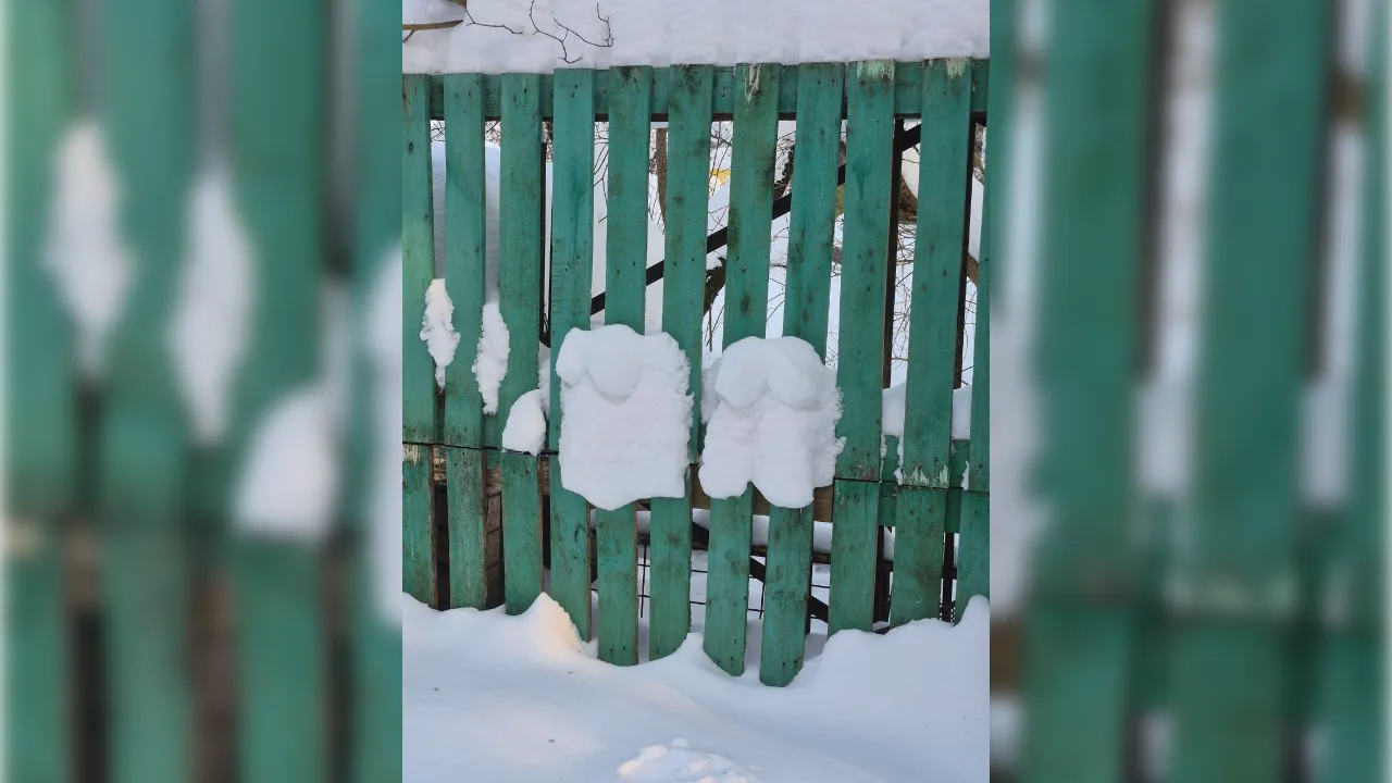 предоставлено жительницей Светланой