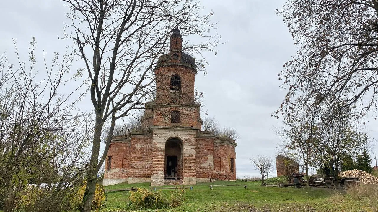 Дарья Шапочкина