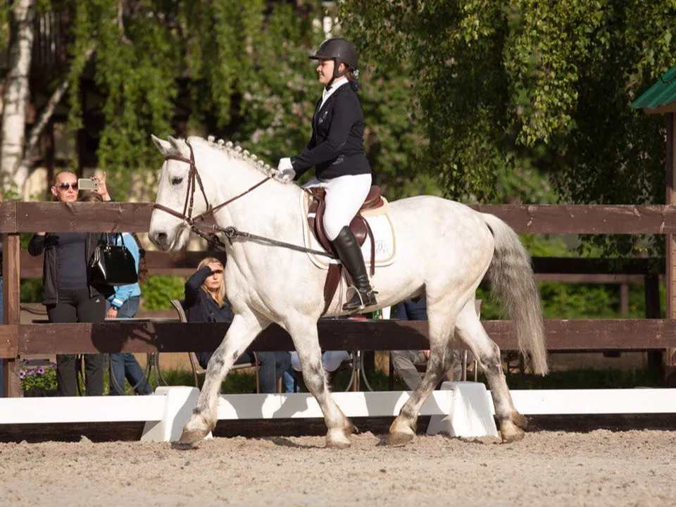 Фото: vk.com/Конноспортивный клуб&nbsp;«Белая Дача»