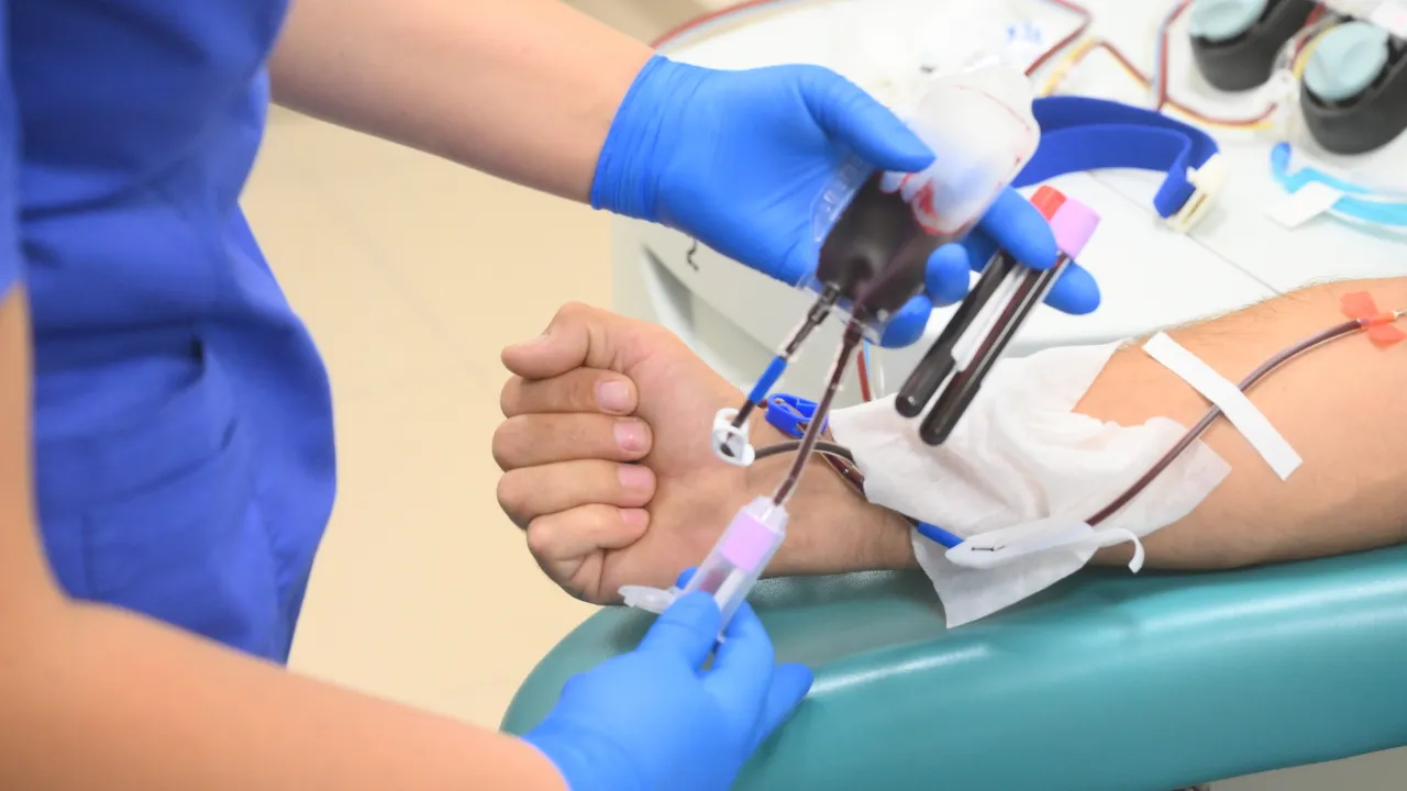 Фото: РИА Новости/Илья Питалев