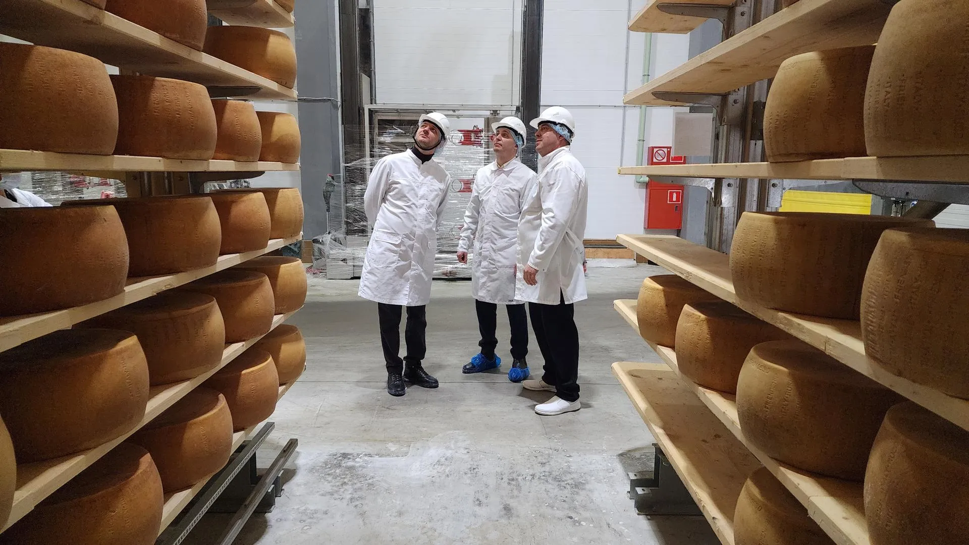 REGIONS/Евгений Рой