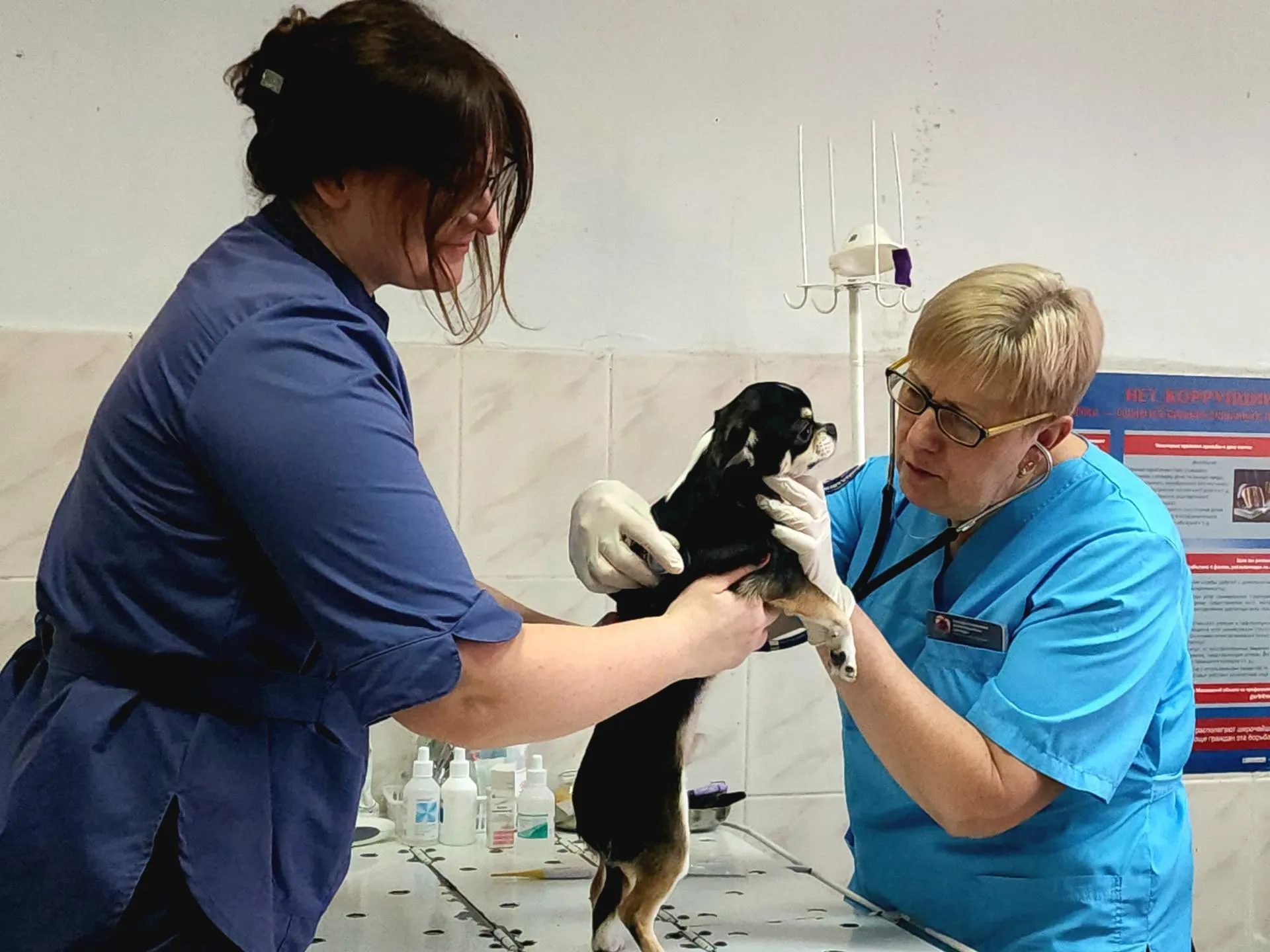 МедиаБанк Подмосковья/Мария Овчинникова