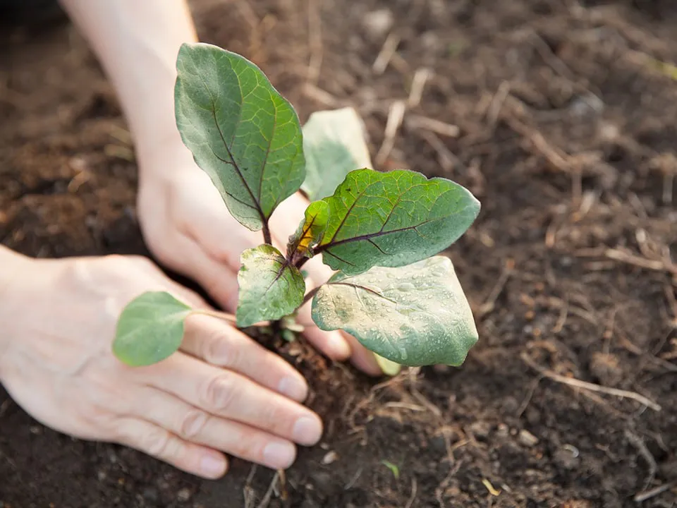Фото: istockphoto.com