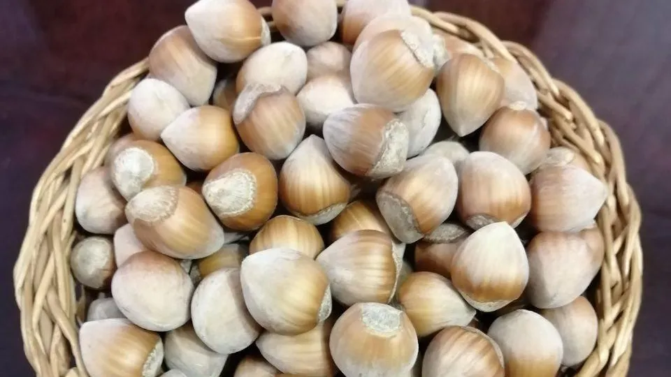 Фото: Министерство имущественных отношений Московской области