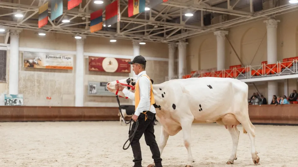 Фото: Администрация Ленинского городского округа